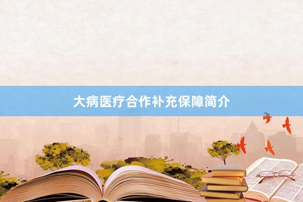 大病医疗合作补充保障简介