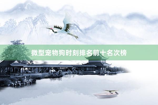 微型宠物狗时刻排名前十名次榜