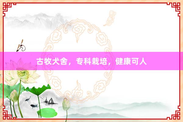 古牧犬舍，专科栽培，健康可人